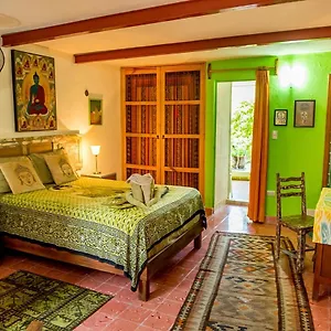  Apartment Budha By Majikal Mexico