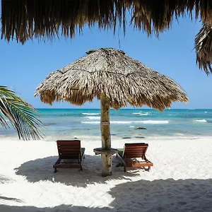 **** Hotel Zamas Mexico